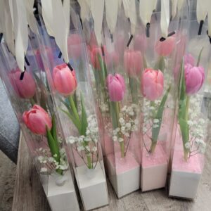 Individually boxed Single Rose or Tulip (Minimum 1 dozen Order)
